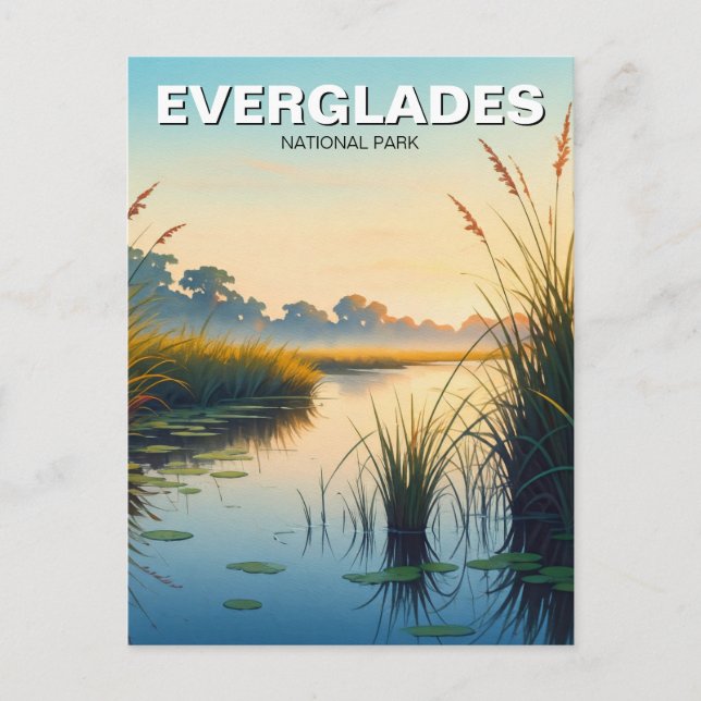Morning Everglades Nationalpark Florida Postkarte (Vorderseite)