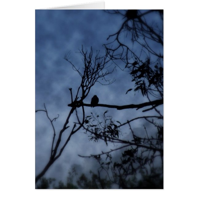 Morning Fog Bird auf Branchenkarte (Vorne)