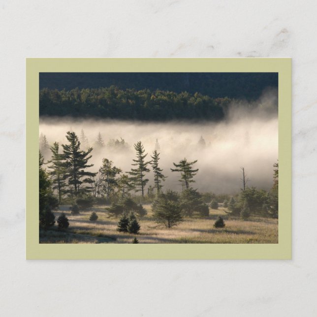 Morning Fog in den Adirondacks Postkarte (Vorderseite)