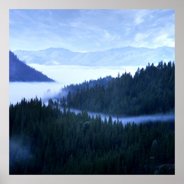 Morning Fog...... Poster (Vorne)