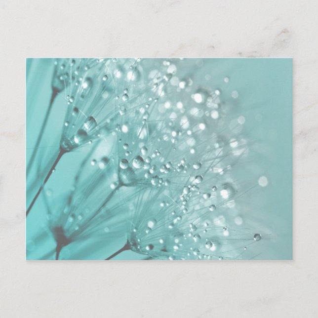 Morning Freshness Postkarte (Vorderseite)