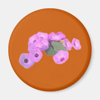 Morning Glories Magnet