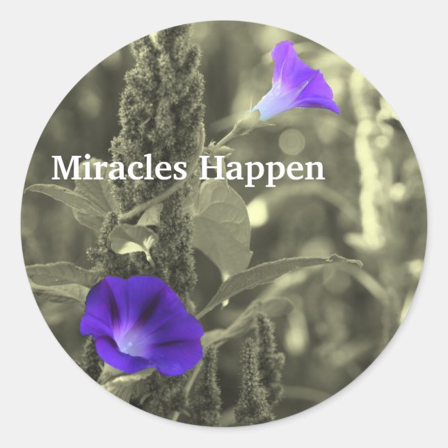 Morning Glories Miracles passieren Sticker (Vorderseite)
