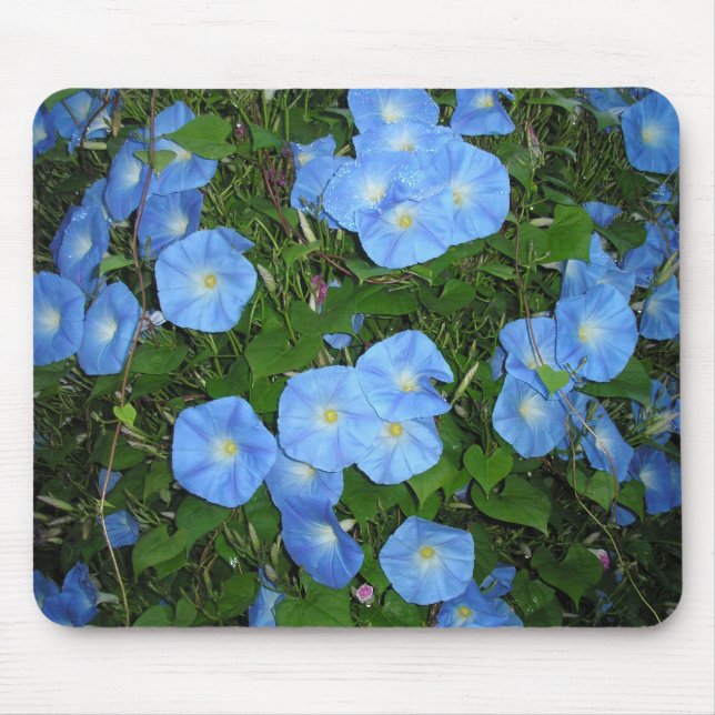 Morning Glories! Mousepad (Vorne)