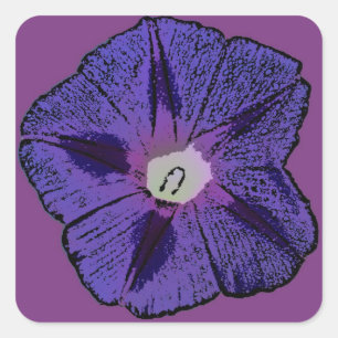 Morning Glory Abstrakt Quadratischer Aufkleber