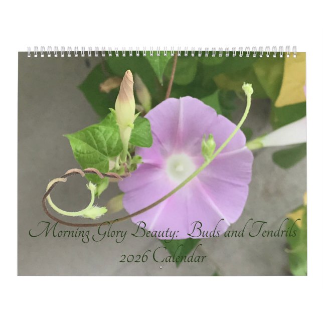 Morning Glory Beauty:  Buds and Tendrils 2026 Kalender (Titelbild)