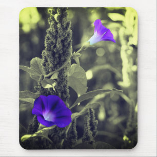Morning Glory Blume Mousepad