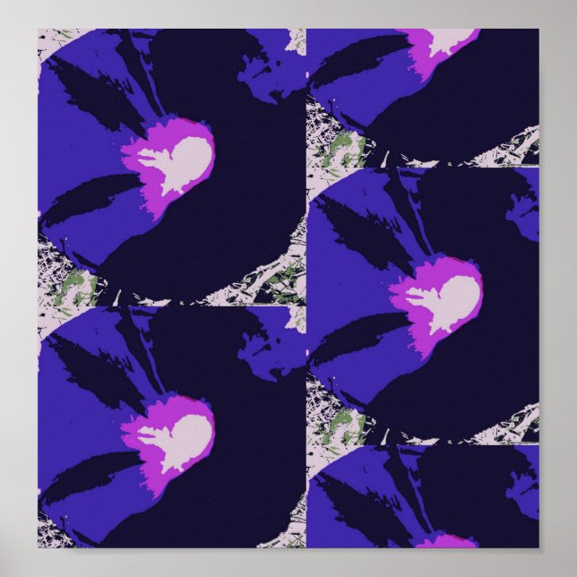 Morning Glory Blumen Poster (Vorne)