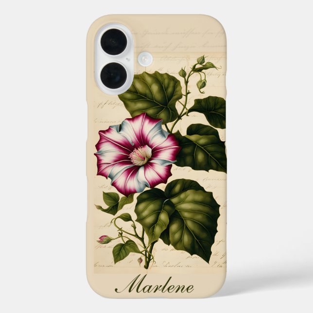 Morning Glory Botanical Illustration Case-Mate iPhone Hülle (Rückseite)