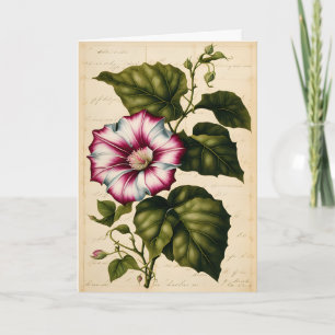 Morning Glory Botanical Illustration Geburtstag Karte