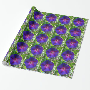 Morning Glory Geschenkpapier