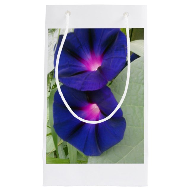 Morning Glory Geschenktasche Kleine Geschenktüte (Vorderseite)