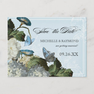 Morning Glory Hydrangea - Save the Date Postcard Ankündigungspostkarte