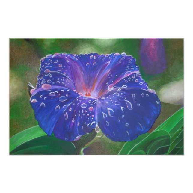 Morning Glory (Ipomoea Purpurea) Petals und Dew Dr Fotodruck (Vorne)