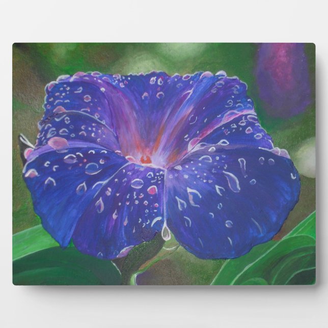 Morning Glory (Ipomoea Purpurea) Petals und Dew Dr Fotoplatte (Vorderseite)