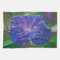 Morning Glory (Ipomoea Purpurea) Petals und Dew Dr