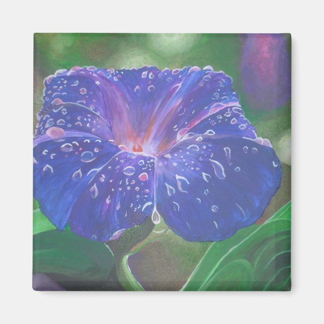 Morning Glory (Ipomoea Purpurea) Petals und Dew Dr Magnet (Vorne)