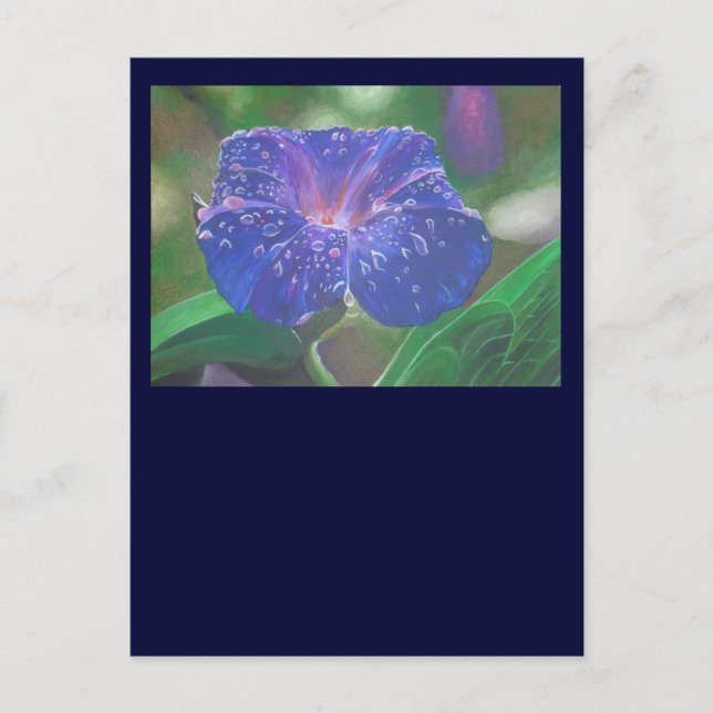 Morning Glory (Ipomoea Purpurea) Petals und Dew Dr Postkarte (Vorderseite)