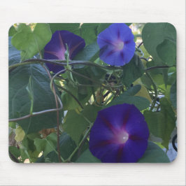 Morning Glory Kaleidoscope Close-up  Mousepad