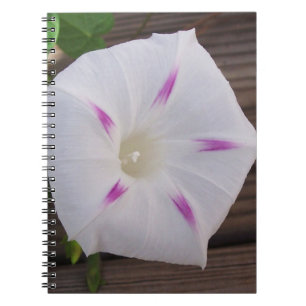 Morning Glory Notizblock