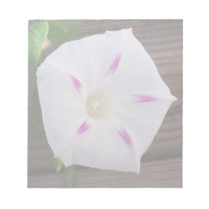 Morning Glory Notizblock