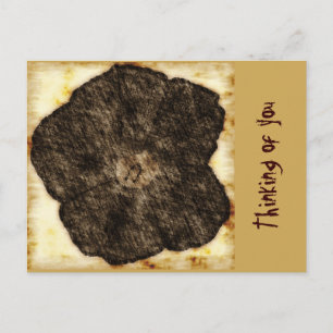 Morning Glory Old Time Sketch Postkarte