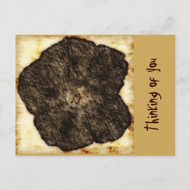 Morning Glory Old Time Sketch Postkarte (Vorderseite)