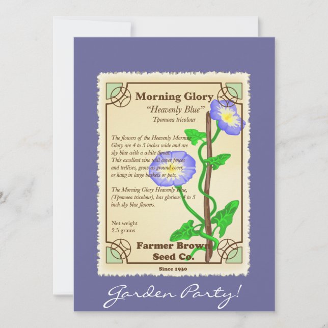 Morning Glory Seed Packet (Vorderseite)