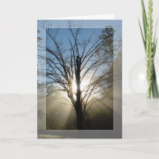 "Morning Glory" Solstice Card Feiertagskarte