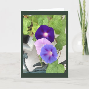 Morning Glory Trio Blank Karte 