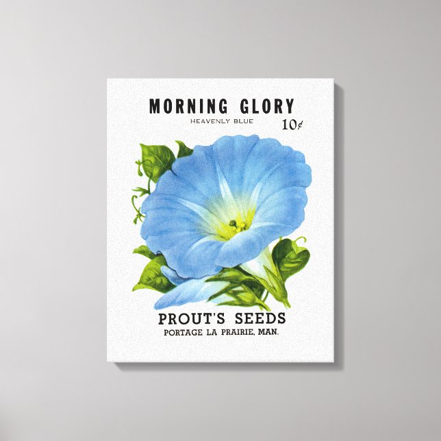 Morning Glory Vintag Seed Packet Leinwanddruck (Vorderseite)