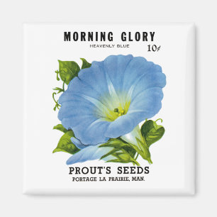 Morning Glory Vintag Seed Packet Magnet