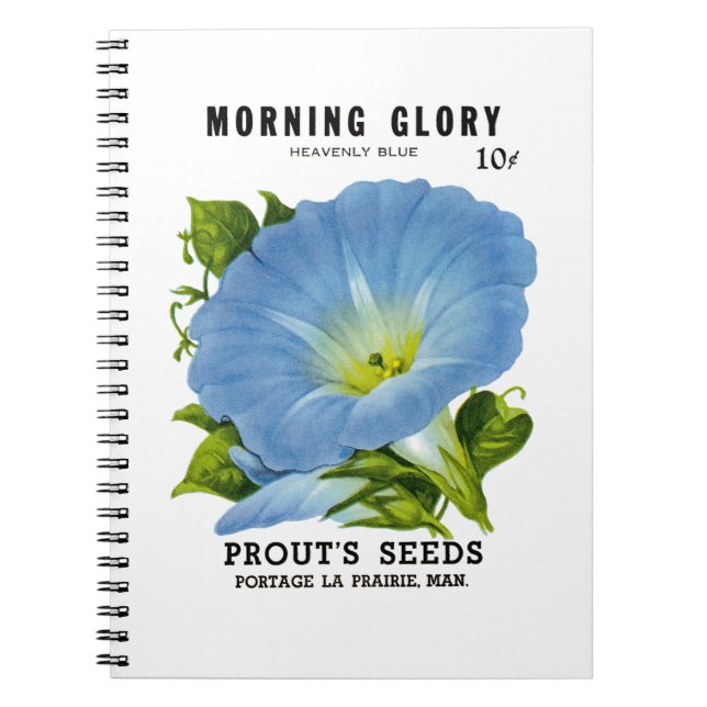 Morning Glory Vintag Seed Packet Notizblock (Vorderseite)