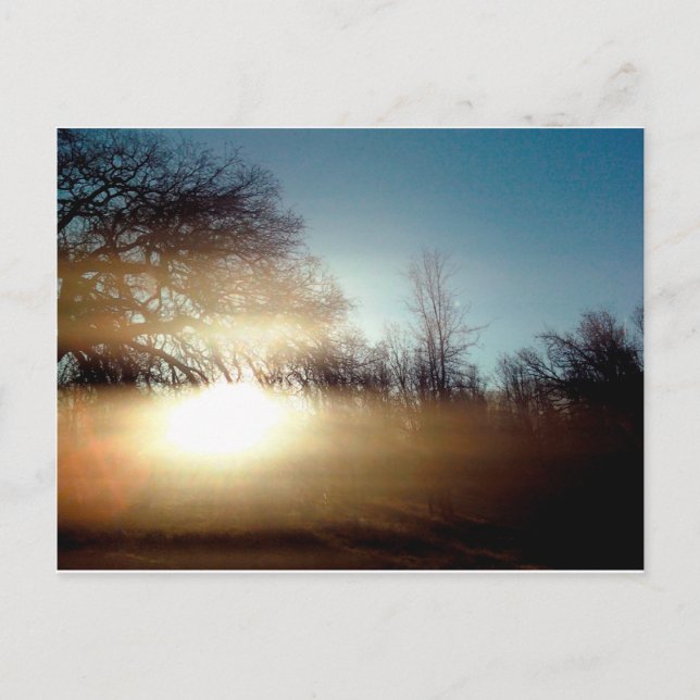 Morning Glow Postkarte (Vorderseite)