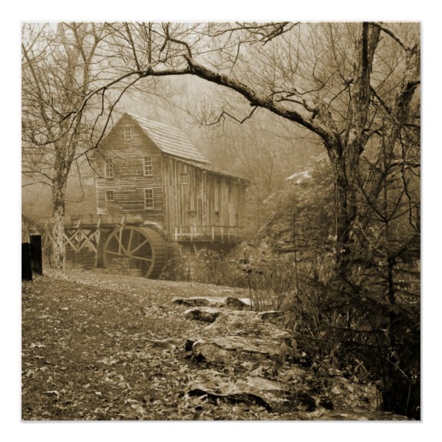 Morning Mist Poster (Vorderseite)
