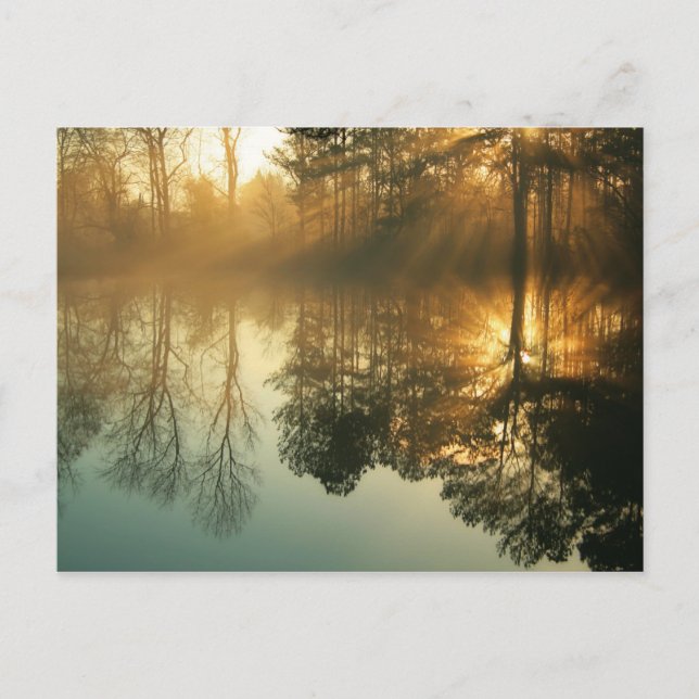 Morning Mist Postkarte (Vorderseite)