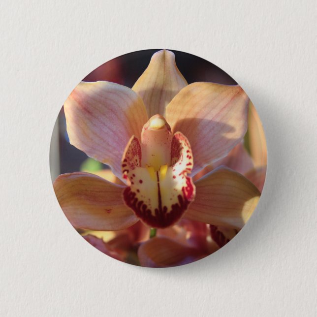 Morning Orchid Button (Vorderseite)