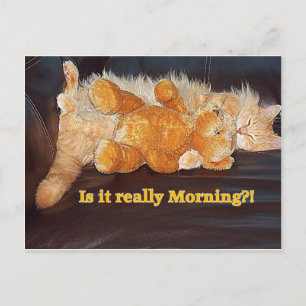 Morning?? Postcard Postkarte