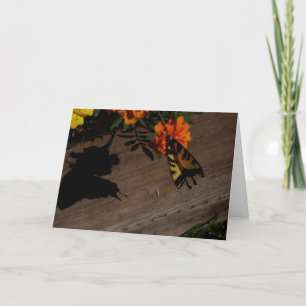 "Morning Shadow" Osternkarte Karte