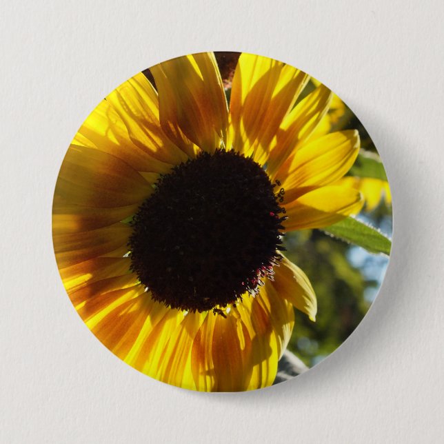 Morning Sonnenblume individuell einstellbar Button (Vorderseite)