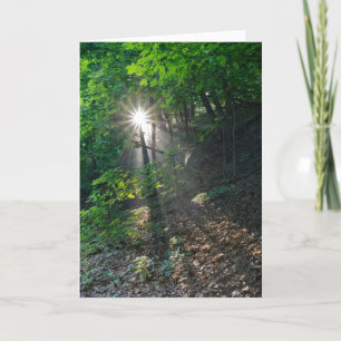 Morning Sunams - Kaposia Park Dankeskarte