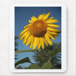 Morning Sunflower Mousepad