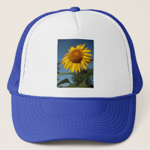 Morning Sunflower Truckerkappe