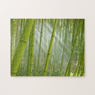 Morning sunlight filtering through bamboo puzzle