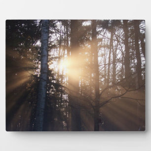 Morning Sunrise Plaque Fotoplatte