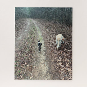Morning Walk Puzzle