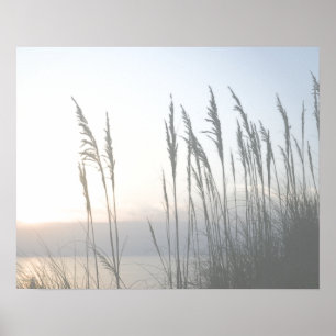 Morning Whisky Poster