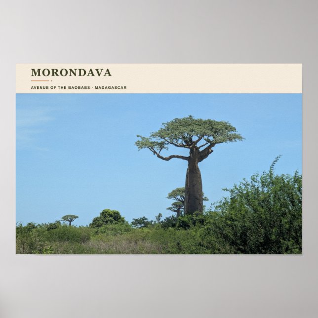 Morondava Allee der Baobabs Poster (Vorne)