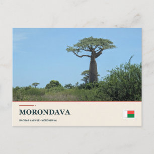 Morondava Allee der Baobabs Postkarte