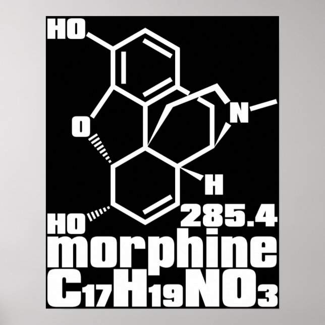 Morphin Poster (Vorne)